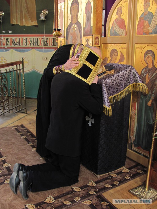 Так распространяют болезни