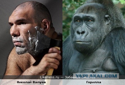 Потрясающее сходство.