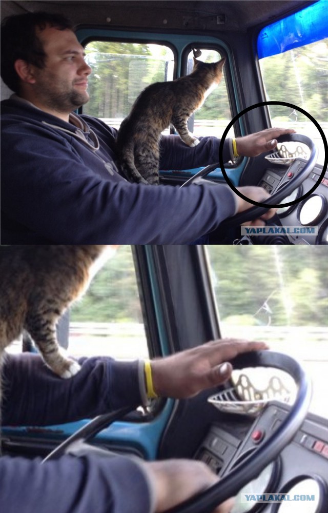 К успеху спешил..