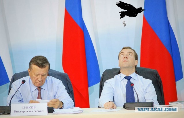 Какие нах санкции, у меня тут шмель!