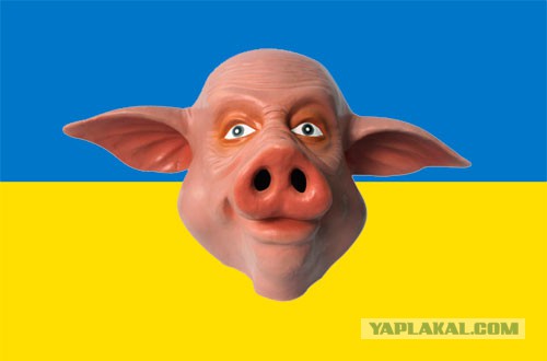Объективные суждения