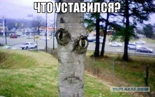 Смешные комментарии на понедельник