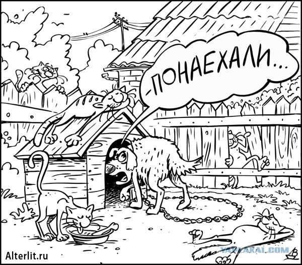 Случайная встреча