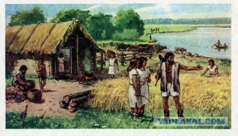Эволюция на пальцах (кратко)