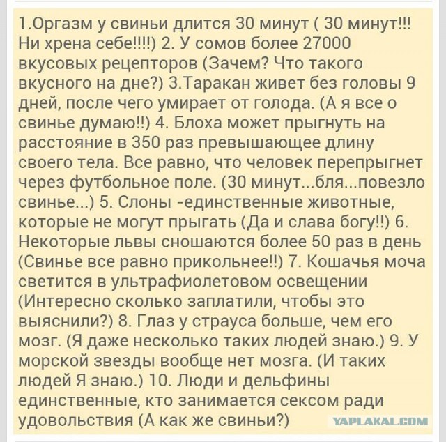 Смешные комментарии 18+