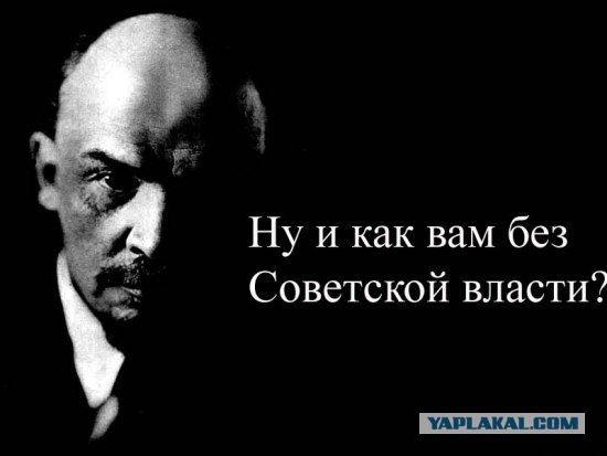 Веб-камеры на избирательных участках