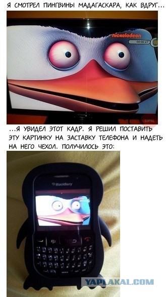 Картинки из сети