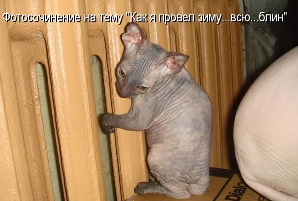 Если есть кошачье ню, то оно выглядит вот так...