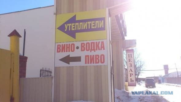 Картинки из сети