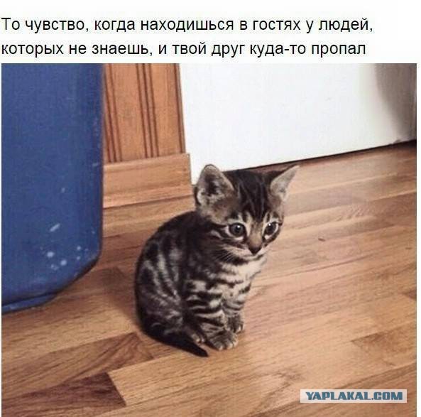 То чувство...
