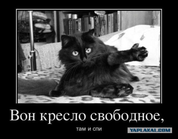 Самый умный организм