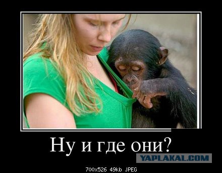 Комикс про выпил блогеров?