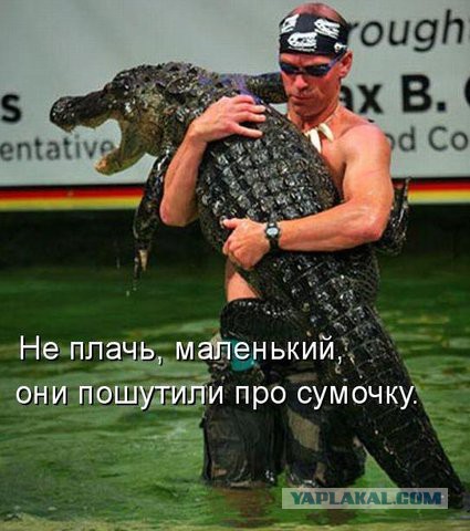 Я всегда думал, что они плавают