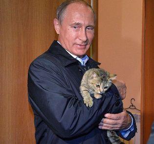 Владимир Путин с котом