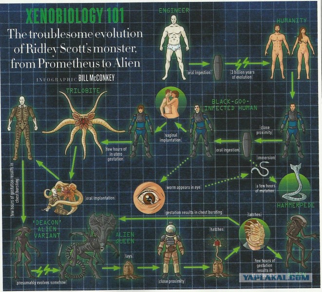 Объясняшки На Андроид