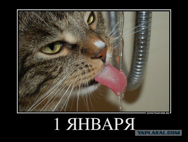 Новогодние демотиваторы 2016