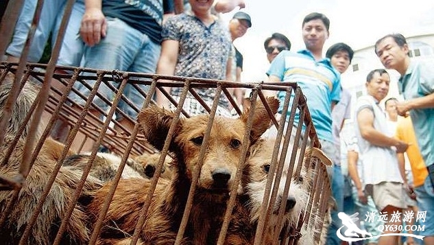 20 фактов о  Китае, о которых интересно узнать