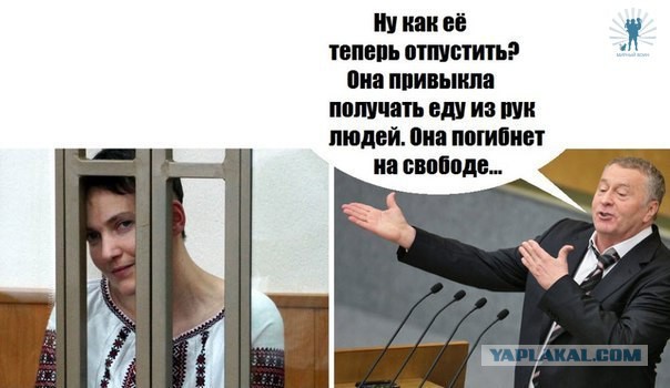 Савченко прекратила сухую голодовку