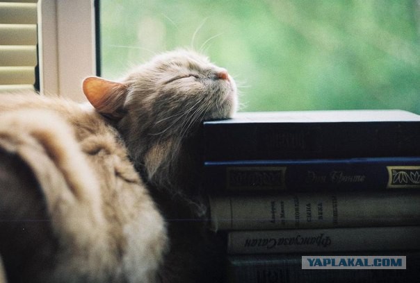 Подборка интересных и прикольных фото