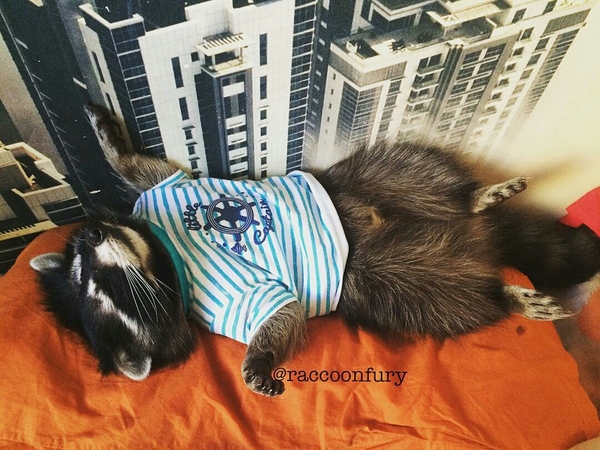 Небольшой микс картинок и гифок .