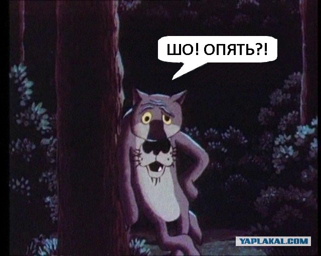 Итальянская ясновидящая Мавис: Россия поведет за собой мир, в котором не будет США