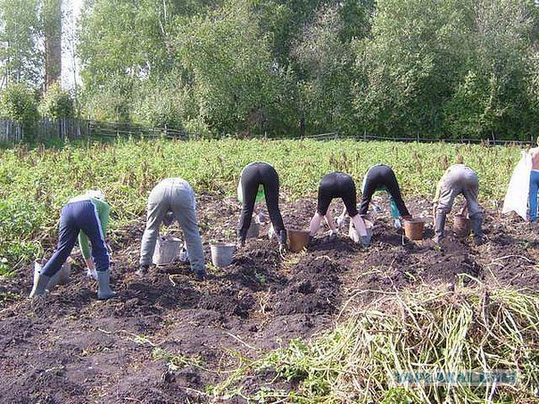 Немецкие дачи. Маленькие и без удобств