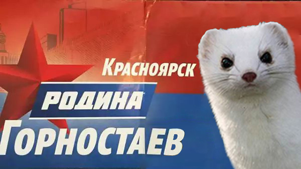 Выборы, выборы...