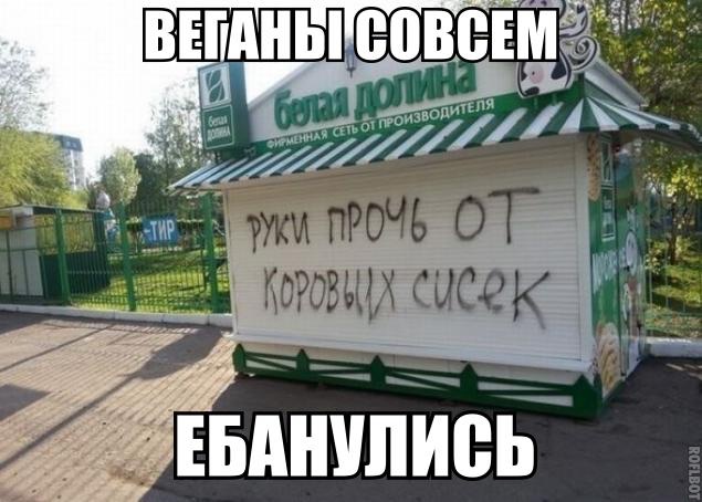 Испанские феминистки протестуют против доения коров и употребления молока