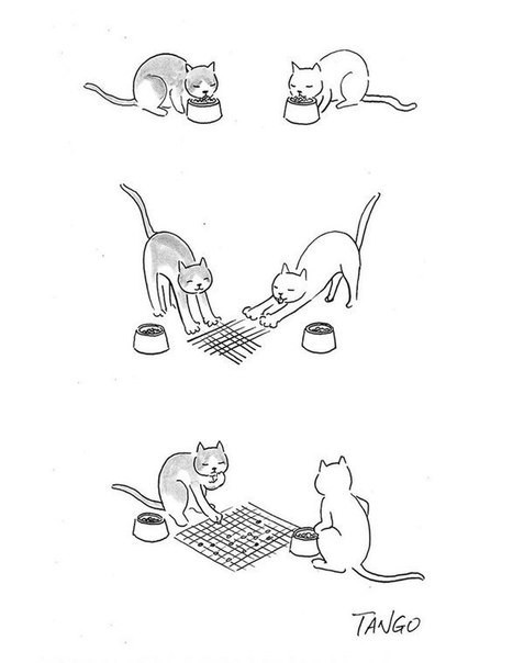 Несколько картинок