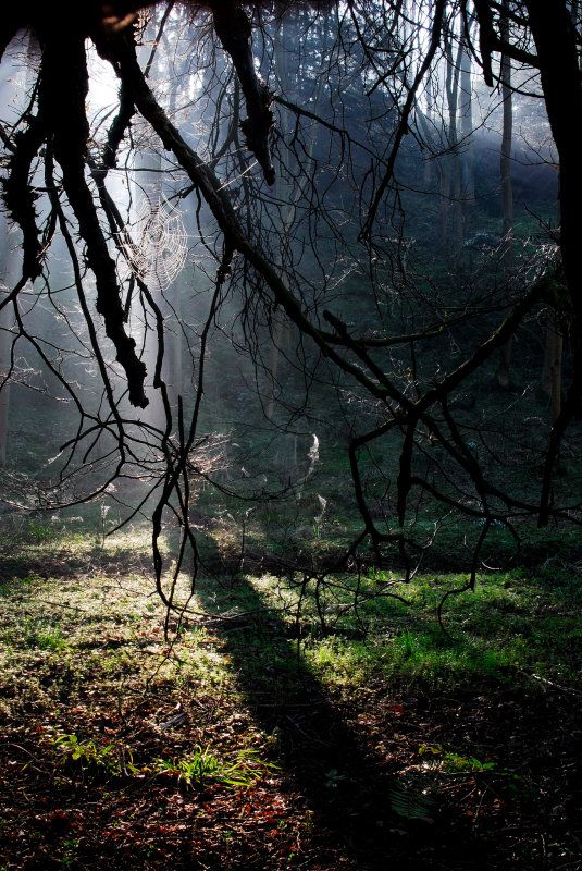 Моменты, запечатлённые на фото и просто позитив 5
