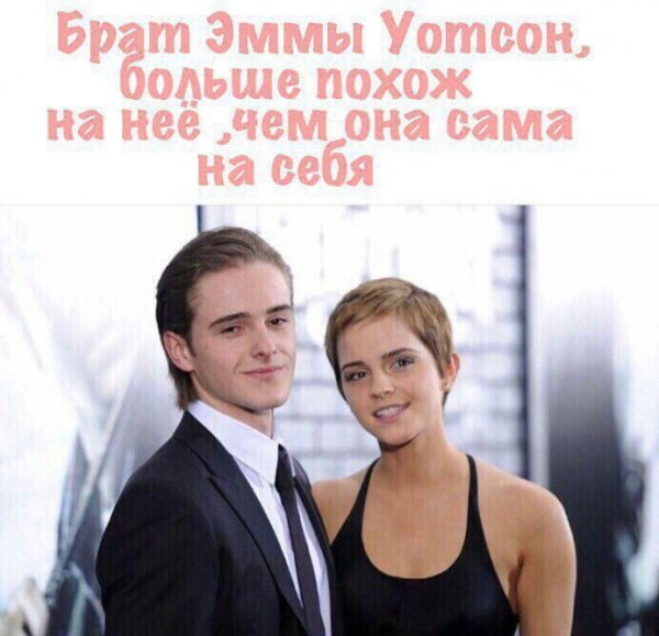 Смотрим и деградируем