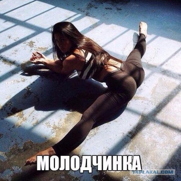 Подборка интересных и веселых картинок
