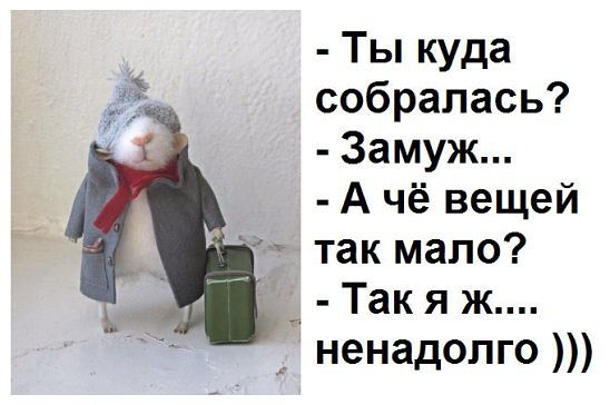 Подборка интересных и веселых картинок