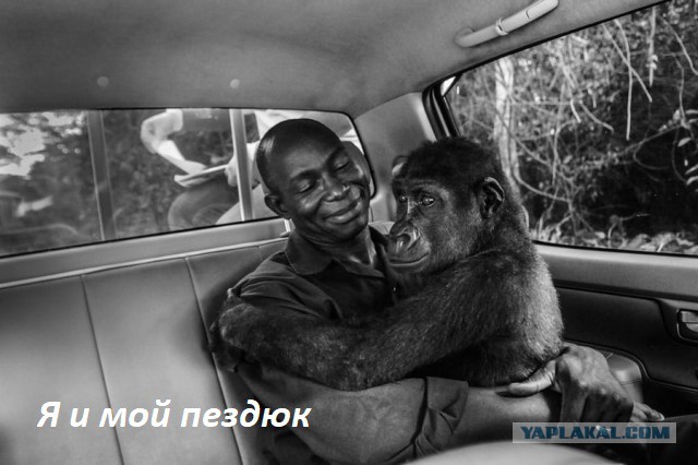 Подборка интересных и веселых картинок