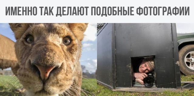 Подборка интересных и веселых картинок