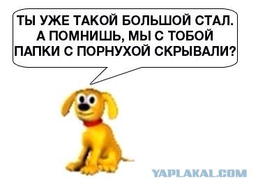 Выходные наступили, а мы весело тупили