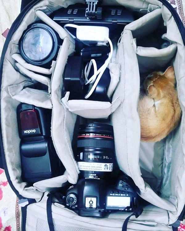 Подборка картинок. Забавных, прикольных - разных!