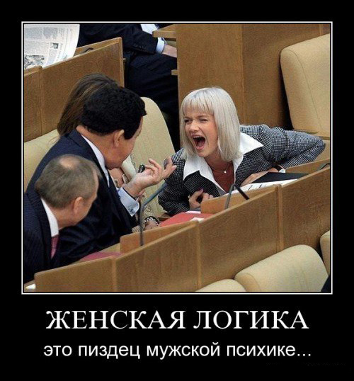 Женская логика