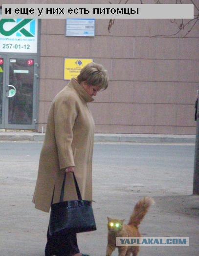 Мы уже прилетели (12 фото)