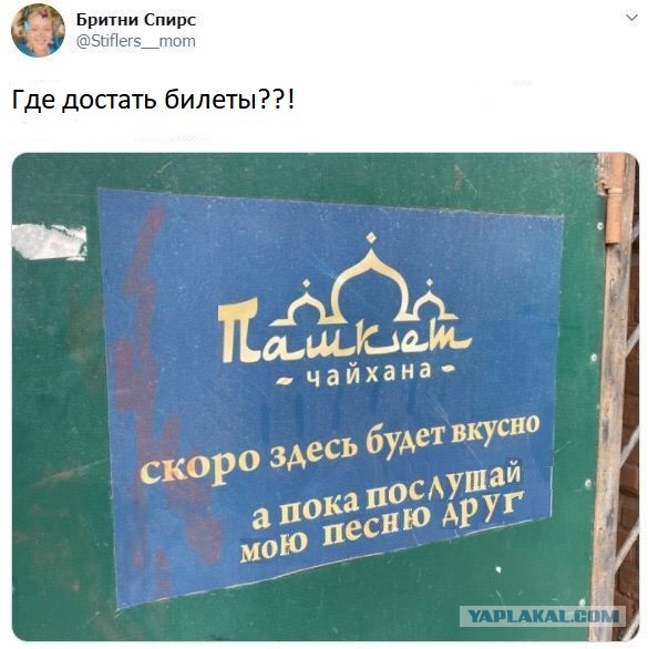 Сублимация