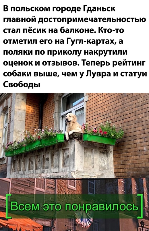 Картинки и мемы для настроения 08.09.2021