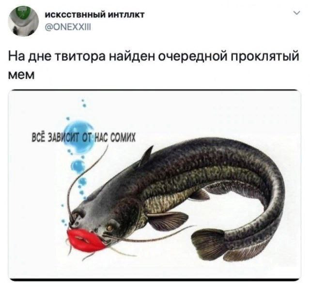 Подборка картинок из загруженного в сети