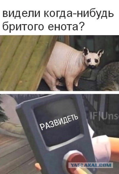 РСП