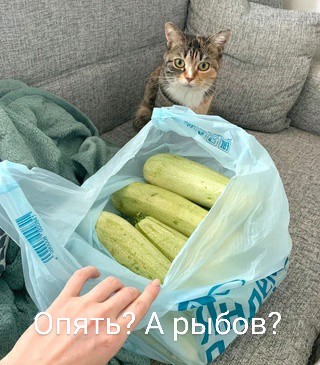 Немного картинок для настроения - 119