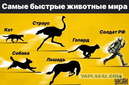 Купянский прорыв: всё пропало или ещё побарахтаемся?