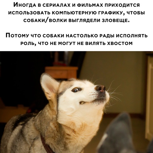 Картинки и мемы, всем хороших выходных