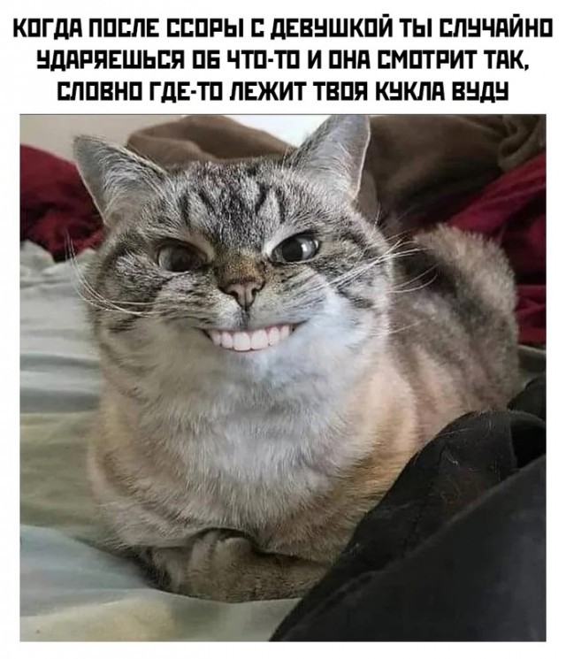 Картинки и мемы, всем хороших выходных