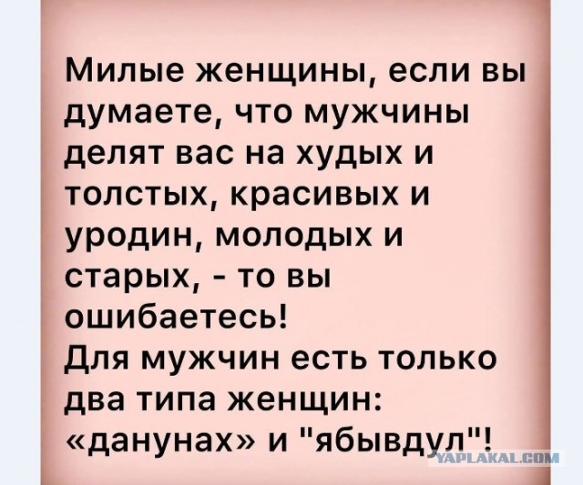 Мемасы из мемори