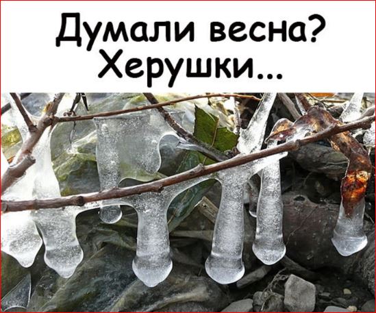 Победная поступь идиотизма по планете – том 15