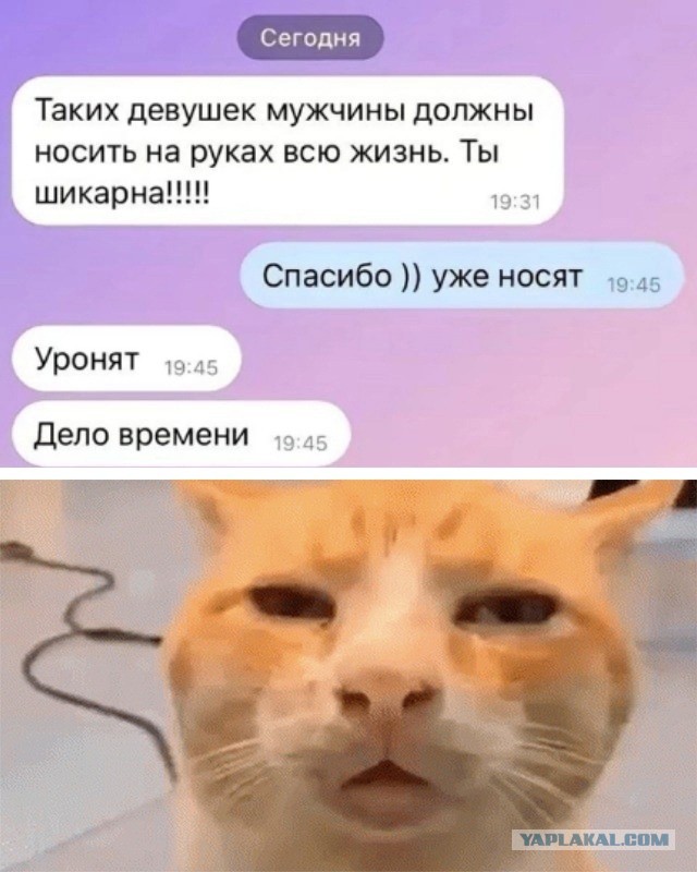 Три часа назад